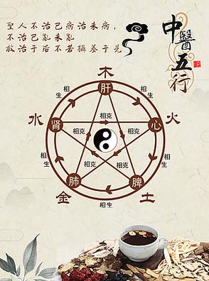 五行健康高清下载