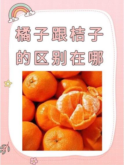 orange是橘子的意思吗
