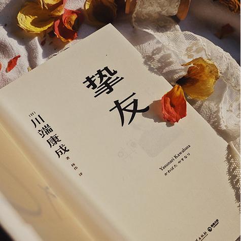 挚友小说