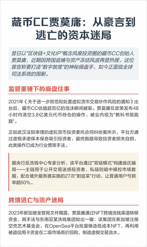 CC藏币被国家认可吗