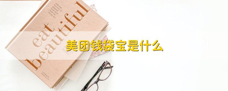 钱袋宝美团支付是什么东西