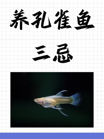 鱼不能养几条