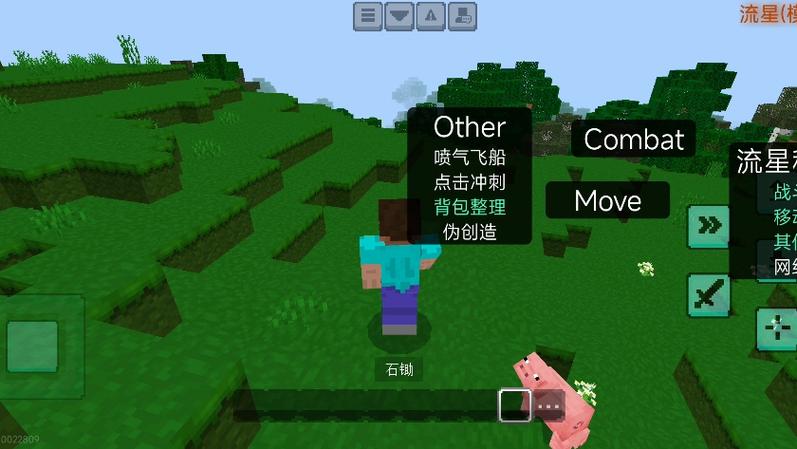 我的世界WSTE公益版