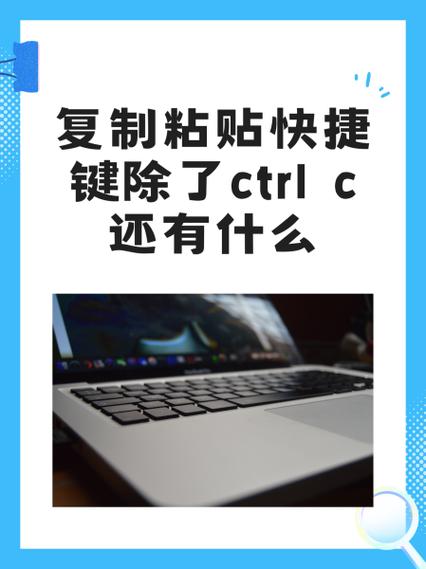word文档中复制粘贴快捷键