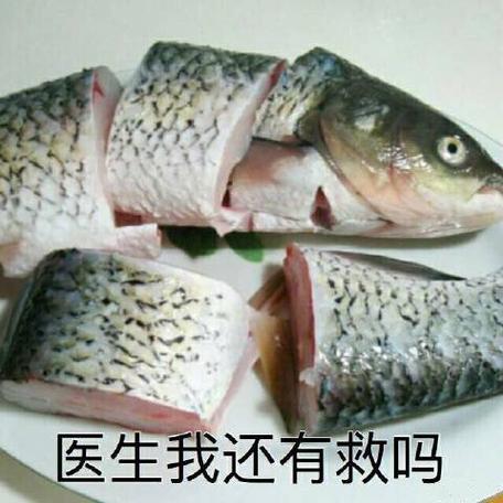 医生说尽力了还有救吗