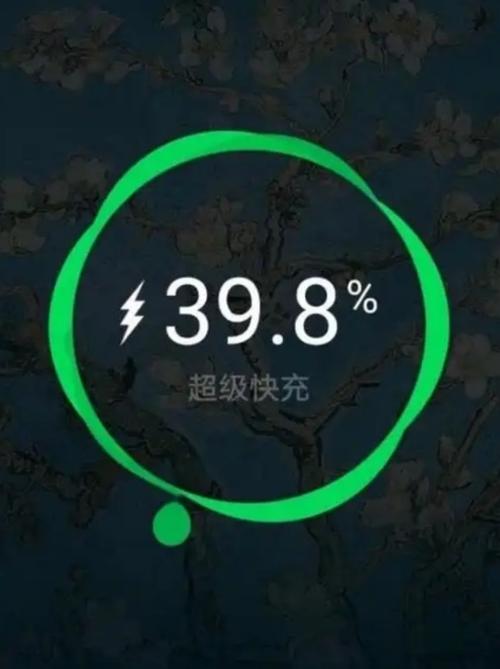 手机没了快充是怎么回事