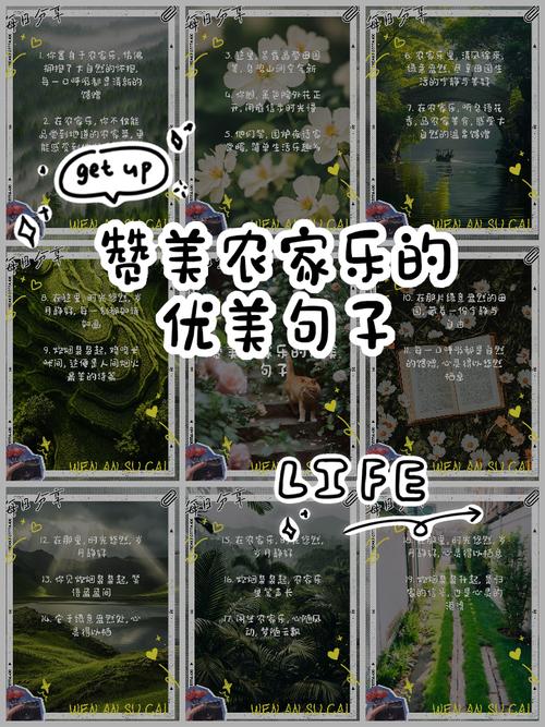 农家乐一天有开心句子