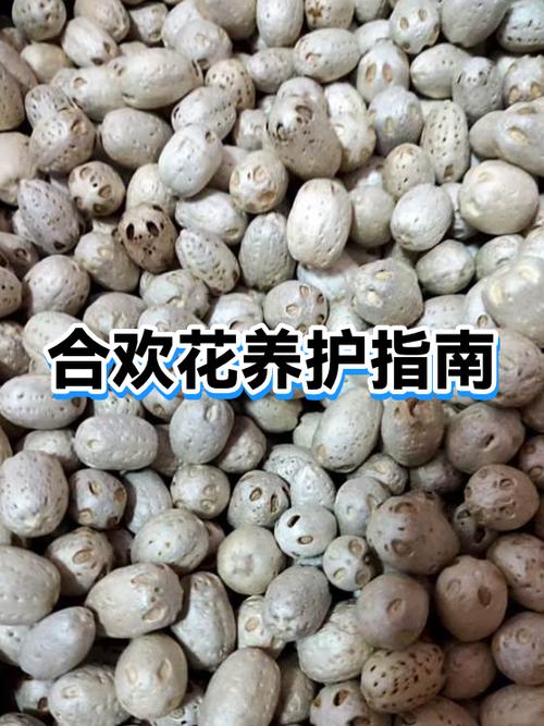 合欢花副作用和禁忌症