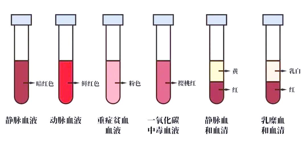 36种血液颜色大全