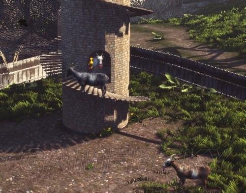 模拟山羊mmo20个小金羊在哪