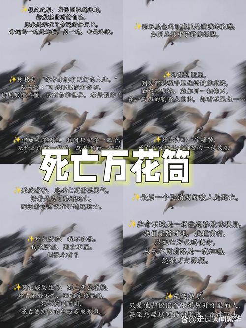 万花筒最经典的一句