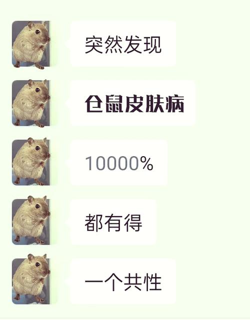 仓鼠常见病