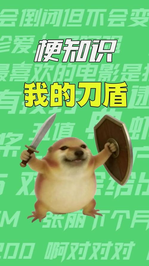 刀盾狗多少元一只?