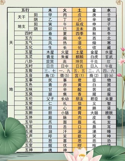 怎样看自己五行喜忌