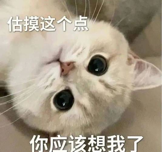 聊天表情