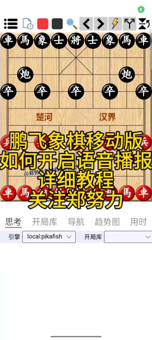 鹏飞象棋软件