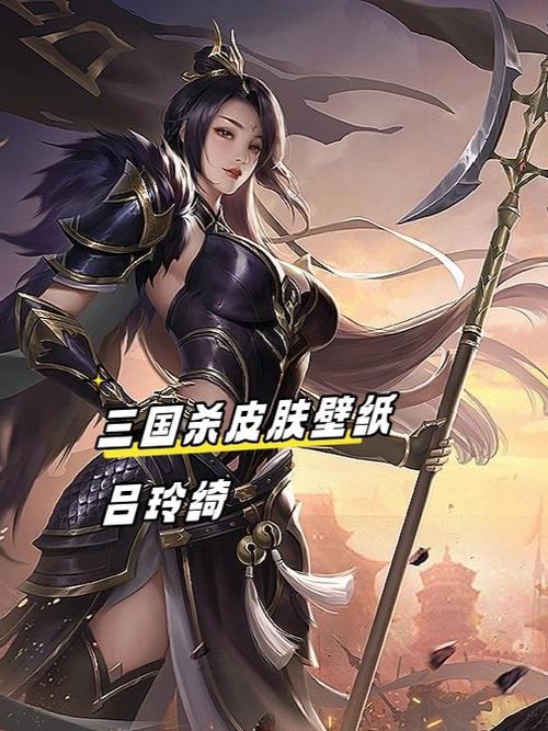 三国杀全英雄全皮肤破解版游戏截图