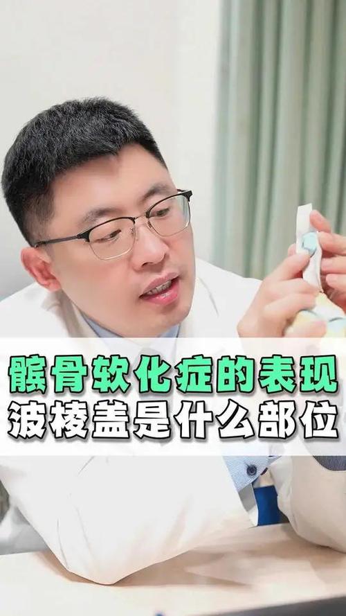 波棱盖是什么部位