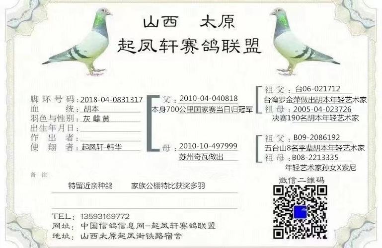 中国信鸽协会信息网官网
