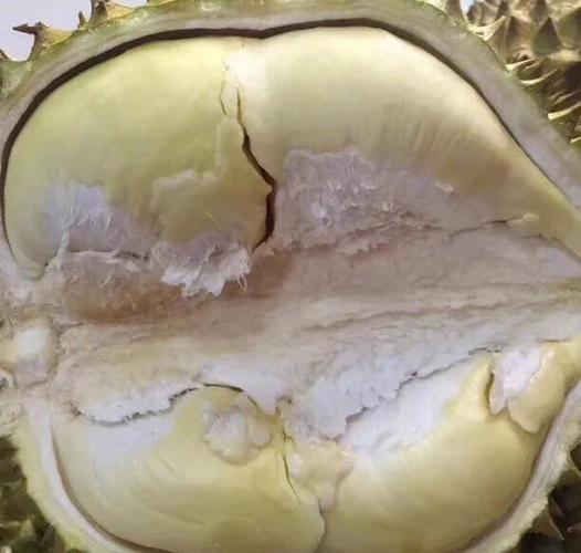 泰国388牌子金枕榴莲好吃吗