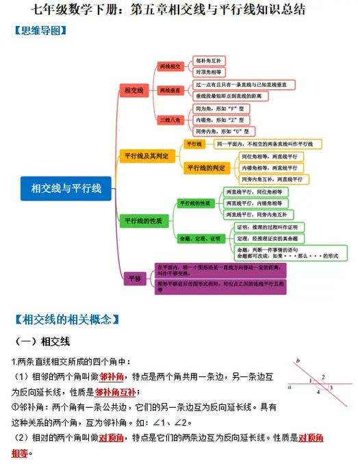 数学7年级下册知识点缩略图