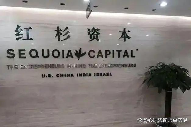 资本公司是做什么的