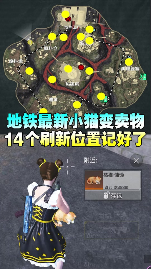 和平精英宠物在哪里设置