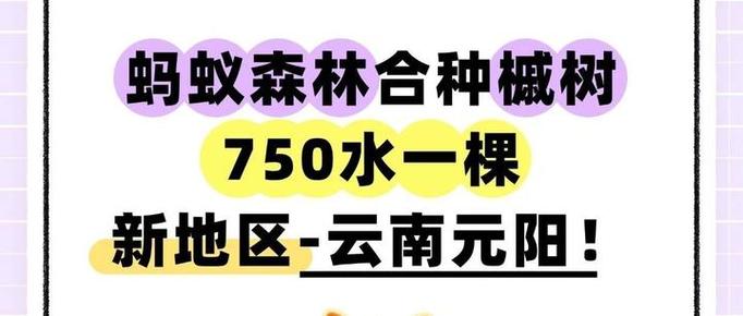 蚂蚁森林只能一个合种吗