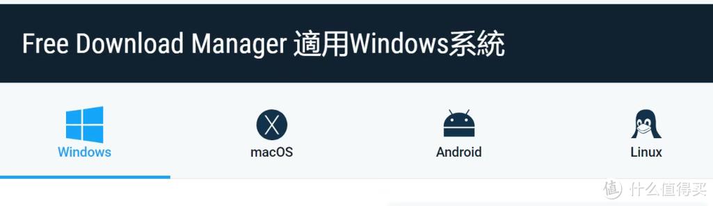 (FreeDownloadManager)
