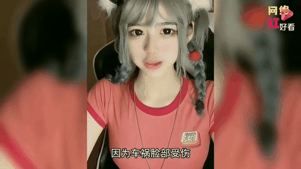 网红安妮资料