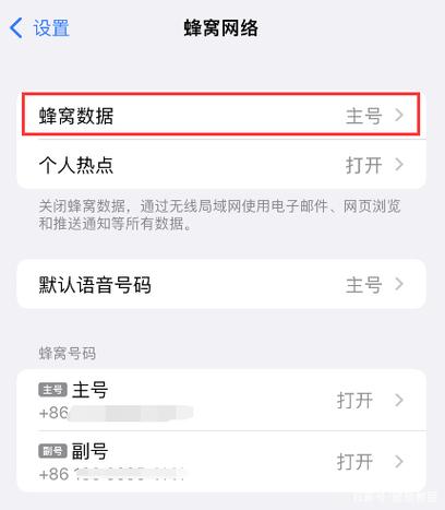 苹果双卡怎么打不了电话