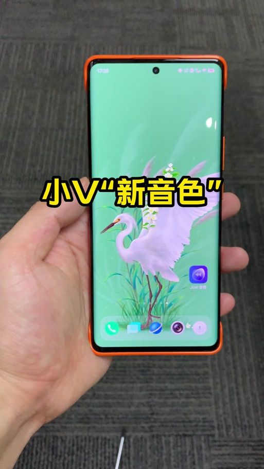 vivo读音怎么读在线听游戏截图