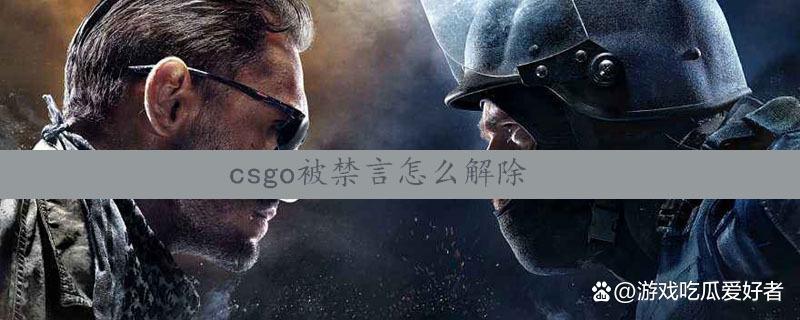 王者荣耀发喇叭不能发什么