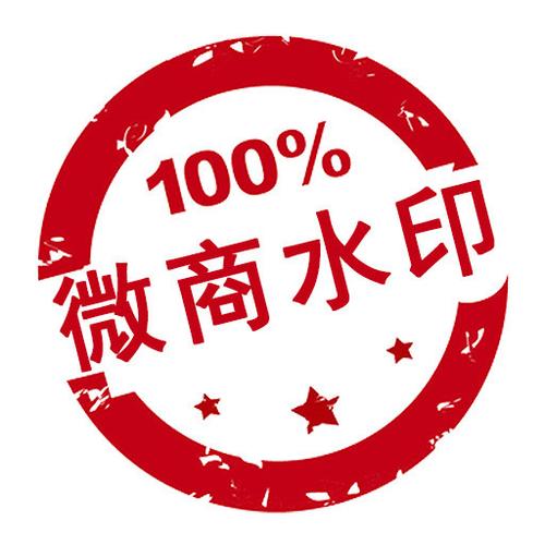 微商水印相机游戏截图