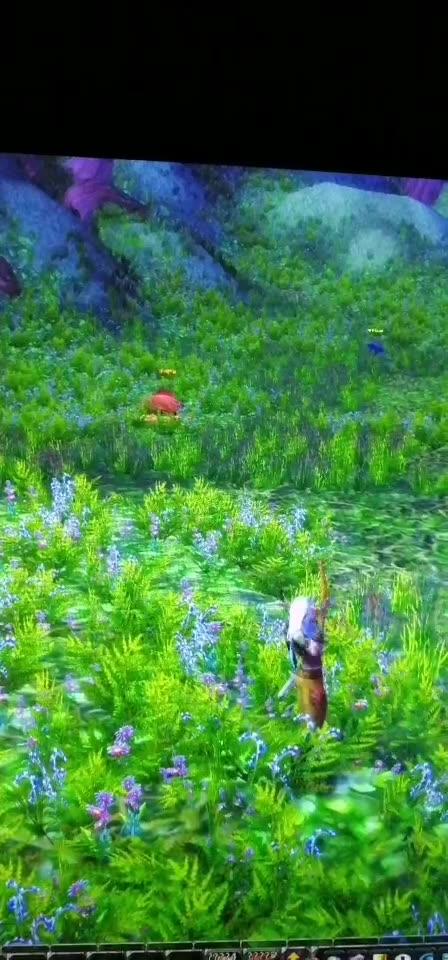 玩魔兽世界开10档特效