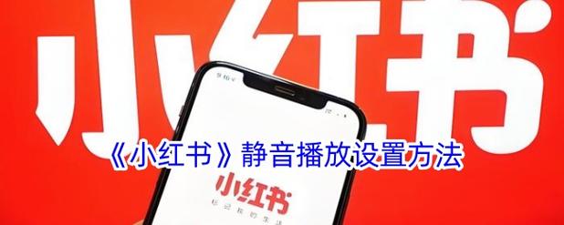 小红书静音播放模式使用方法