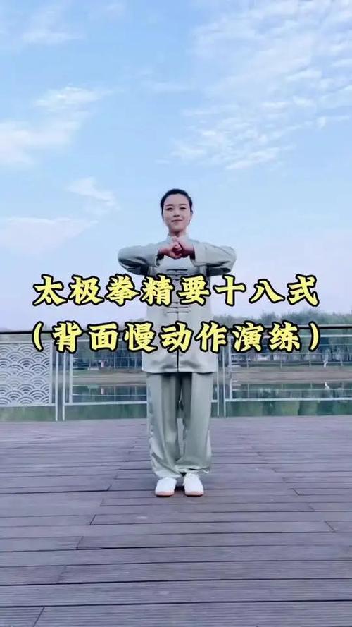 陈式精要十八带口令全套演练