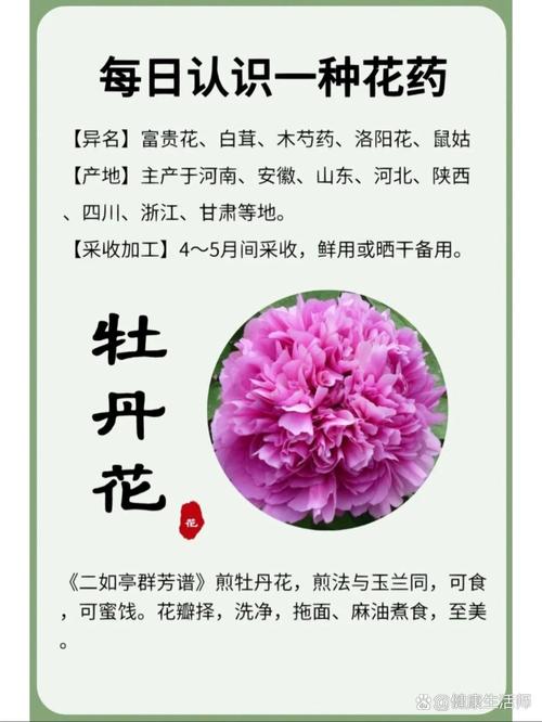 牡丹花油的功效与价格
