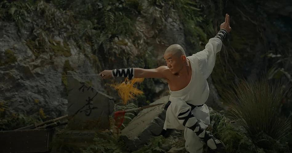少林寺之得宝传奇在线观看游戏截图