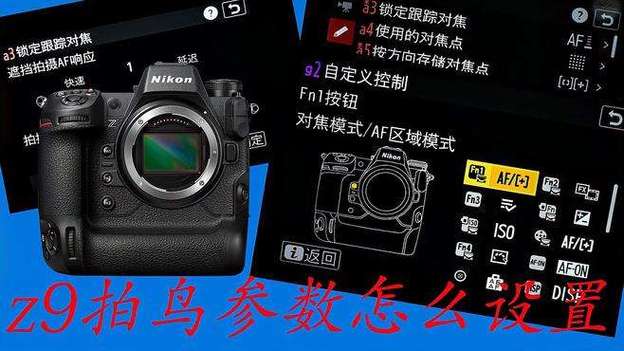 尼康照片显示参数怎么关闭