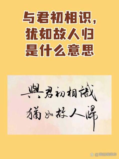 与君初相识,犹如故人归什么意思