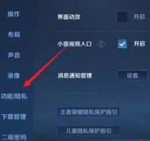 王者荣耀隐私设置在哪里图标