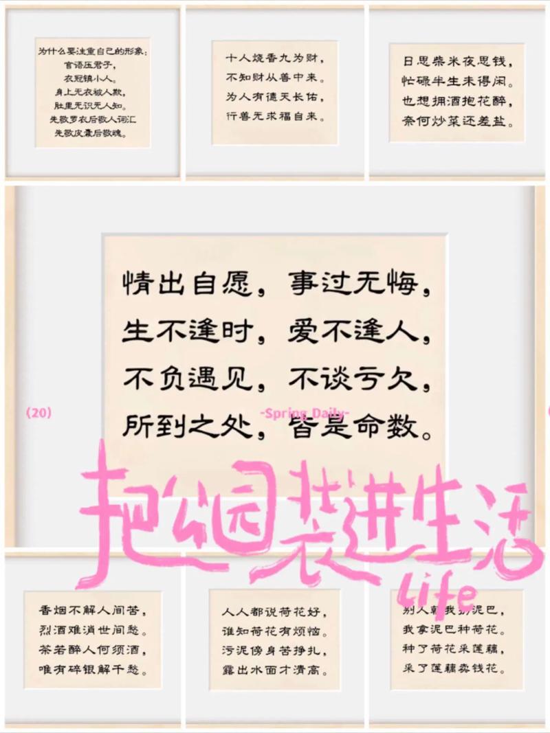 圆梦的另一种说法