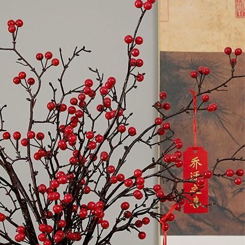 冬青如何做永久干花