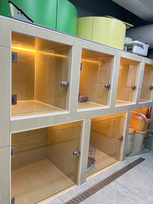 宠物寄养店