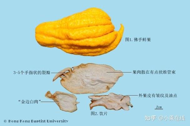 中药三品分类