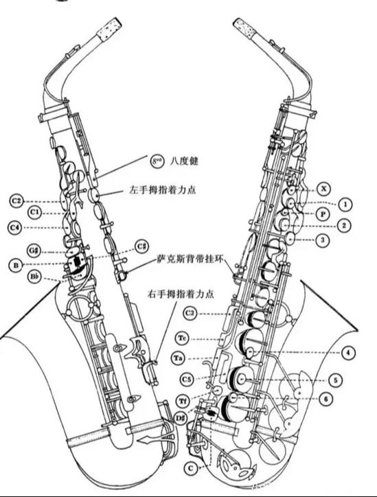萨克斯入门