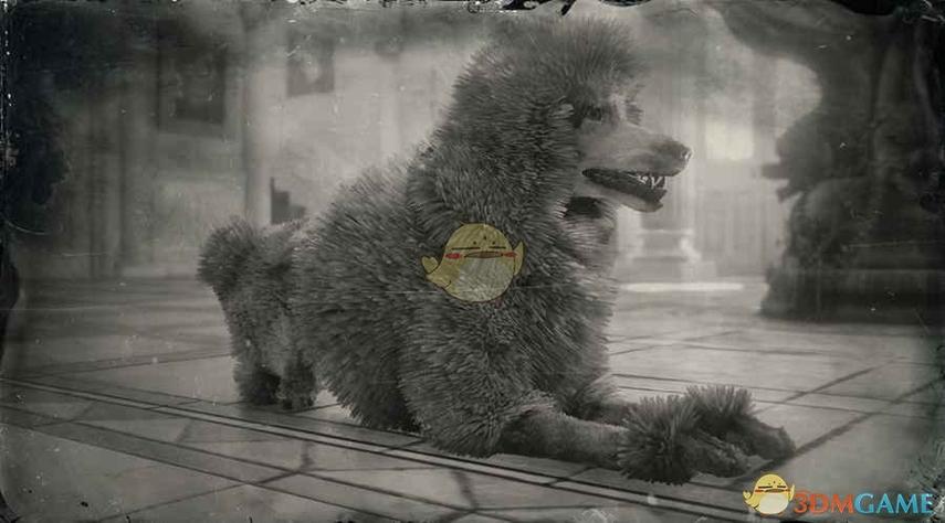 荒野大镖客2贵宾犬