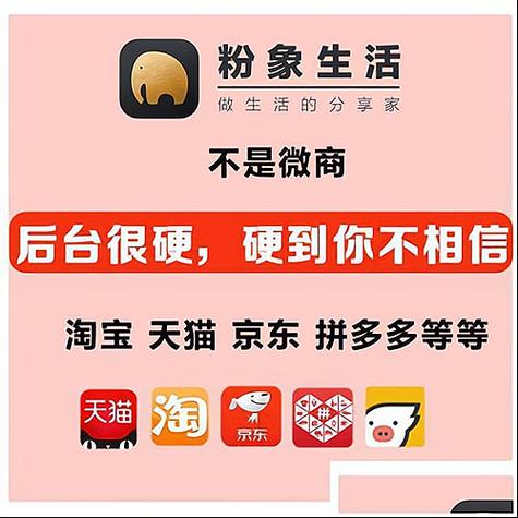 粉象生活赚钱教程