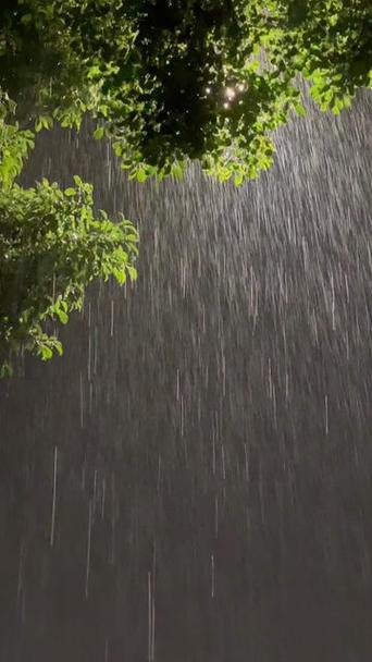 唯美下雨的视频
